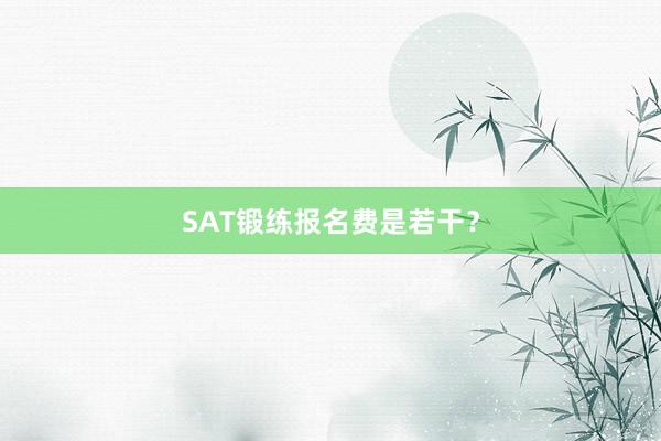 SAT锻练报名费是若干？