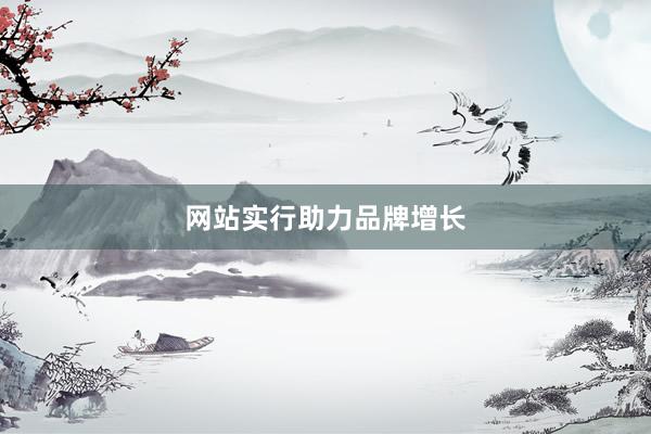 网站实行助力品牌增长